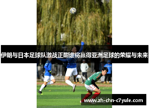 伊朗与日本足球队激战正酣谁将赢得亚洲足球的荣耀与未来