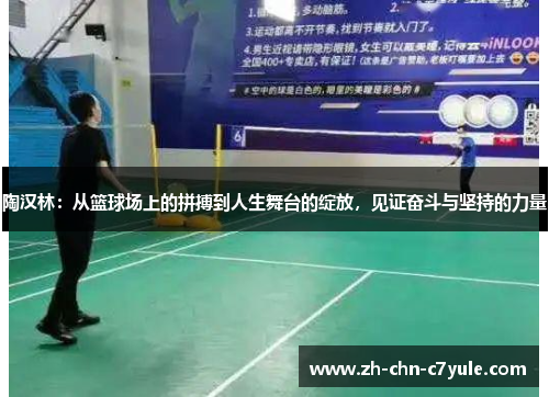 陶汉林：从篮球场上的拼搏到人生舞台的绽放，见证奋斗与坚持的力量